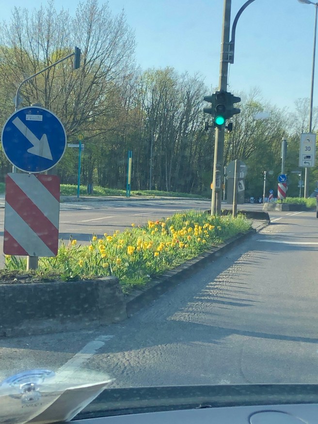 856D6C2C-A765-49B0-B446-340AD57D7EC3