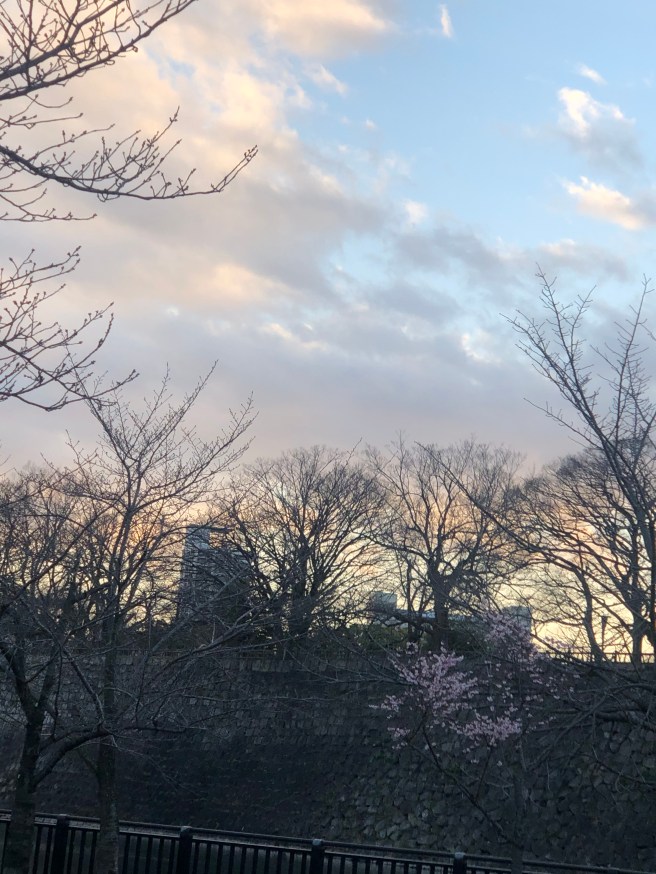 EBD648C0-EB64-4AA5-A801-9BC8793BA278