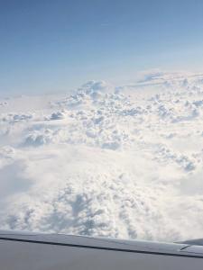 Che‘s Cloud Kingdom